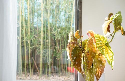 Santarcangelo di Romagna House | Casa Utopia