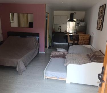 Eschentzwiller Apartment | Grand studio dans maison parking privé gratuit
