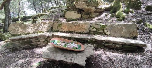 Gadoni House | Sa Burra Guest House