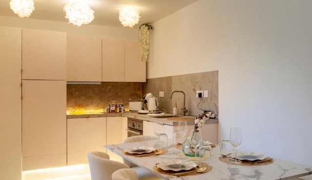 Appartement avec spa et sauna, centre historique Vierzon - FR-1-586-49