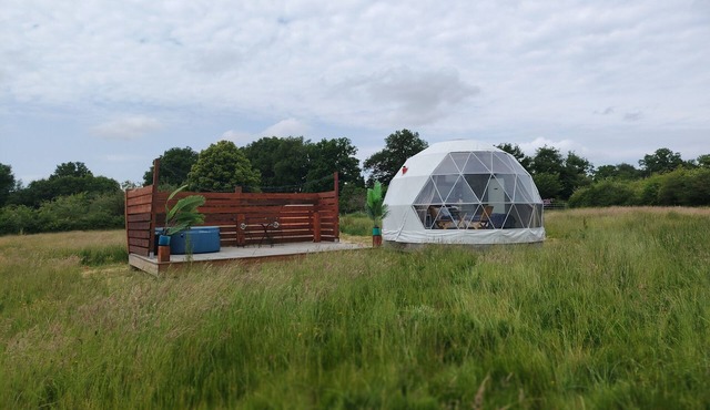 Berry Dome