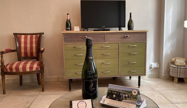 Charming apartment in the heart of Champagne.