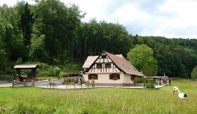 Domaine de la Mossig