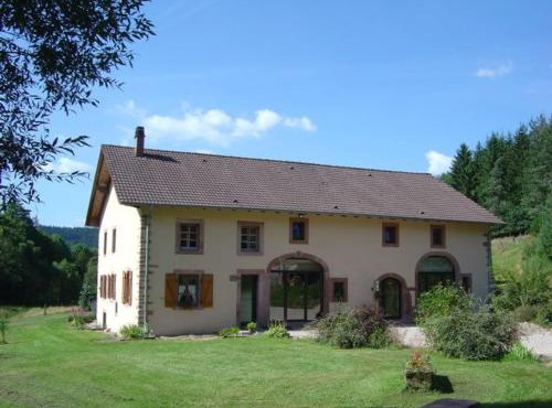 Grande Ferme Rénovée avec Jardin, Terrasse et Sentiers à Proximité - Vosges - FR-1-589-232
