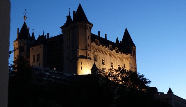 Large apartment between Loire and Château