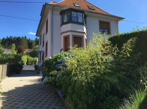 Les hortensias en Alsace - meublé de tourisme 3 étoiles
