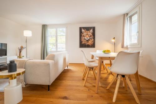 Modern Apartment in Central Basel near Rhine - Special TOP LUX 32 Apartment, up to 2 guests