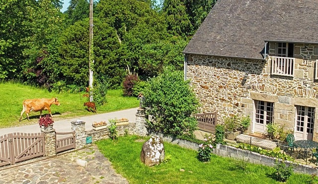 Nice stoned house with garden between Saint Malo & Mont Saint Michel