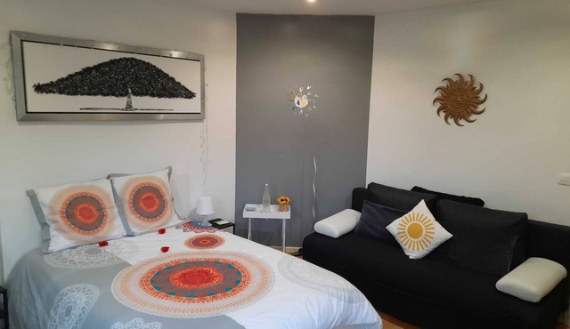 Quiet, bright 3* studio in Hohwald, hiking and mountain-biking country