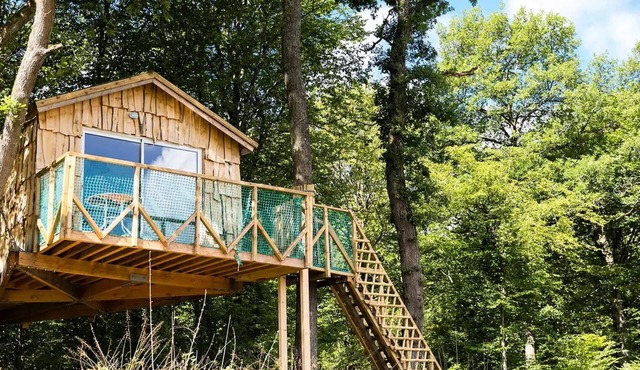 Robin Hood Suspended Treehouse for 4 People