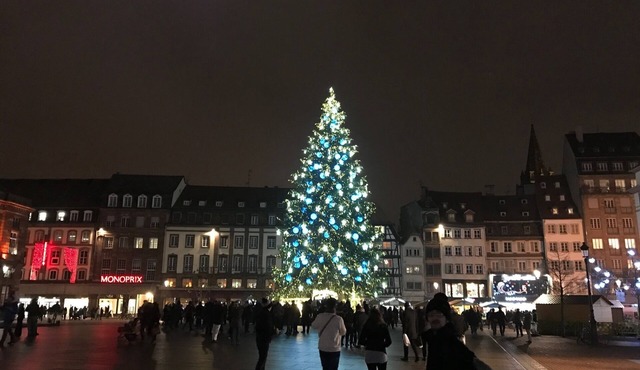 Small cozy nest in the heart of Strasbourg!
