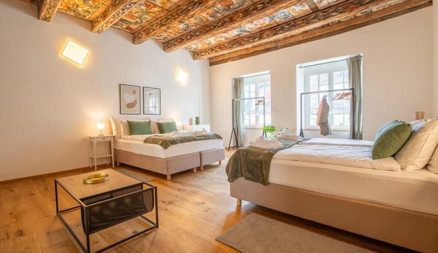 Spacious Apartment in Central Basel near Rhine - Special TOP LUX 24 Apartment, Basel, up to 8 guests