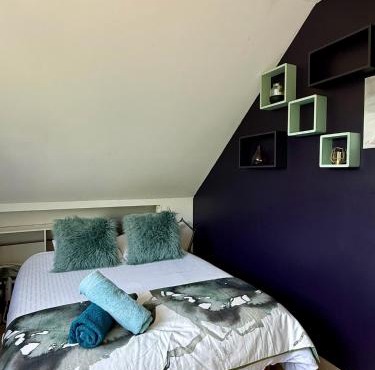 Studette Cosy