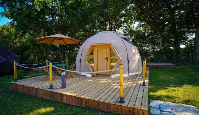 The Geodesic Dome