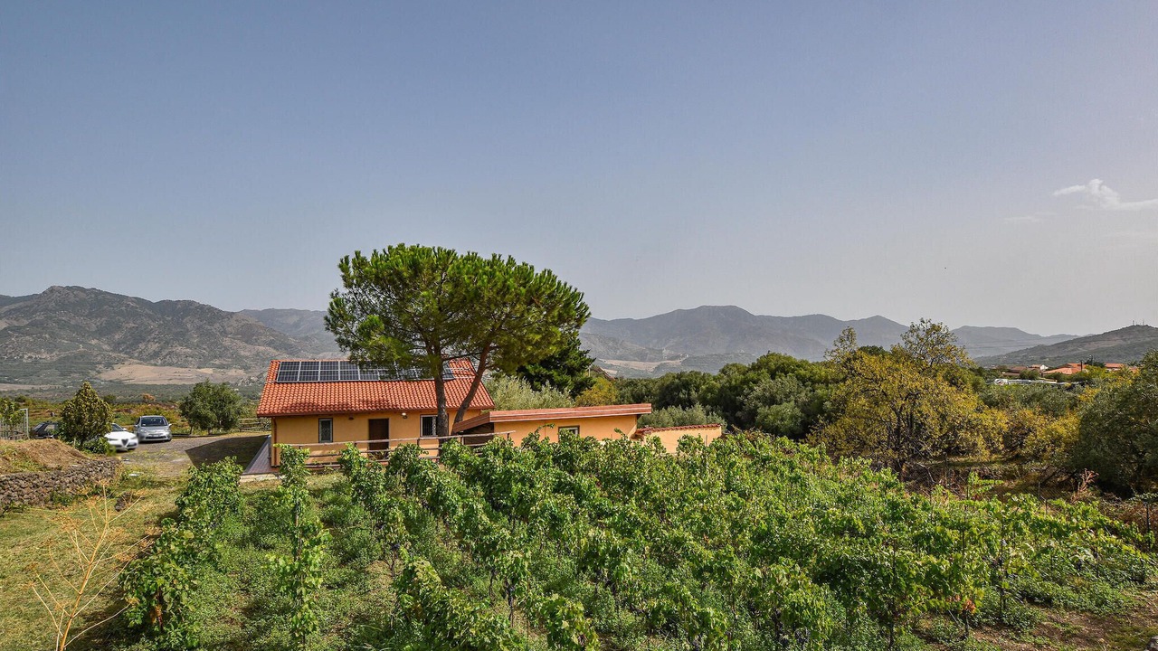 Photo of Others in Solicchiata