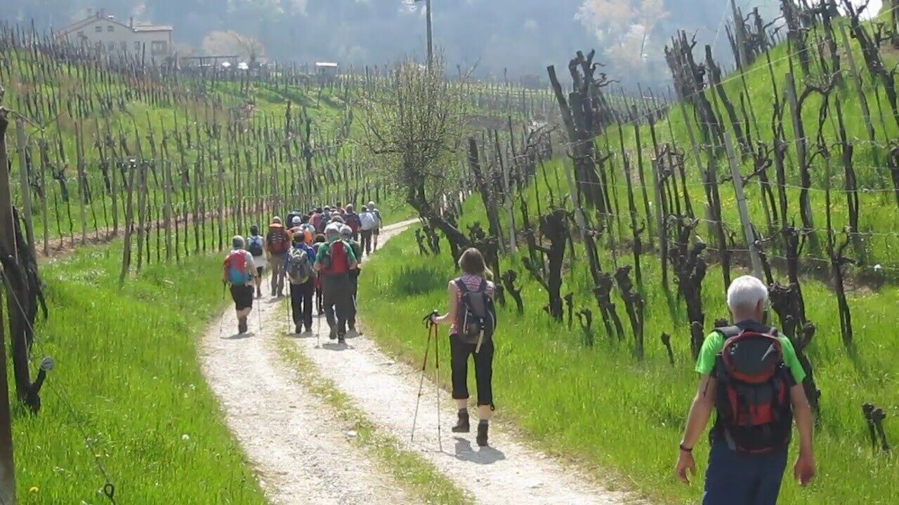 Photo of Others in Pieve di Soligo