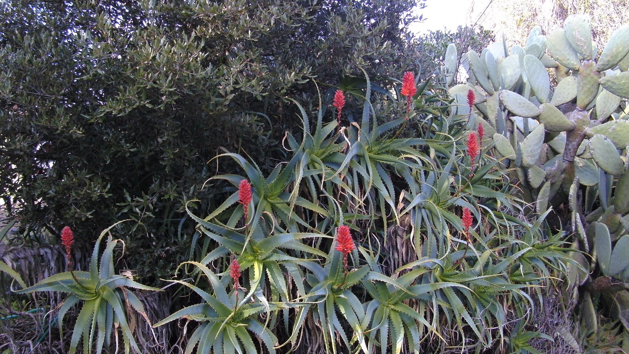 Photo of Outdoor in Aglientu