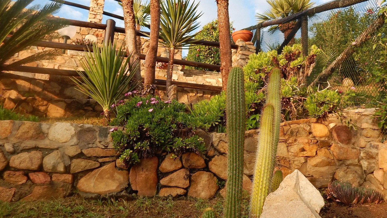 Photo of Outdoor in Costa Rei